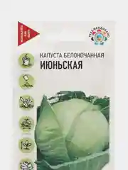 Семена капуста белокочанная "Июньская"