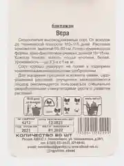 Семена Баклажан "Вера"