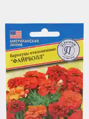 Семена цветов Бархатцы "Файрболл"