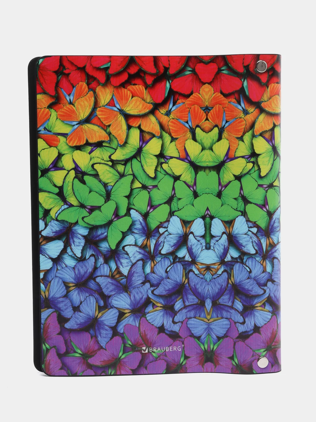Тетрадь на кольцах со сменным блоком для учебы А5 BRAUBERG VISTA Butterflies, 112128