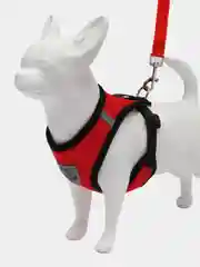 Красный шлейка для собак и кошек, с поводком