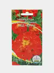 Вишнёвый семена цветов Бархатцы (тагетес) разные сорта
