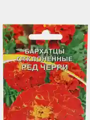 Вишнёвый семена цветов Бархатцы (тагетес) разные сорта