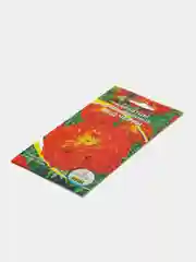 Вишнёвый семена цветов Бархатцы (тагетес) разные сорта