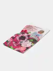 Коралловый меланж семена цветов Петуния, разные сорта