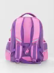 Ранец школьный Brauberg Premium, для девочки, 2 отделения