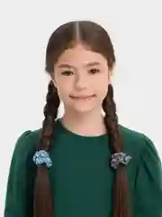 Серебряный небольшие резинки для волос, 2 штуки