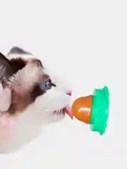Лакомство для кошек конфета с кошачьей мятой