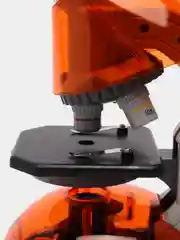 Микроскоп Микромед Атом 40x-640x, апельсин, детский