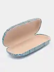 Ледяной футляр для очков