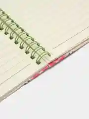 Розовый блокнот, блокноты