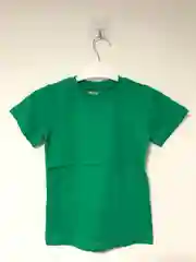 Зеленый футболка