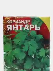 Семена Кориандр "Янтарь", 5 г