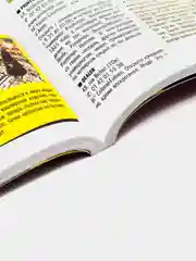 Книга-путеводитель "Париж: City trip"