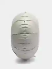 Кремовый воздушный шар, кремовый, бежевый, 45 см
