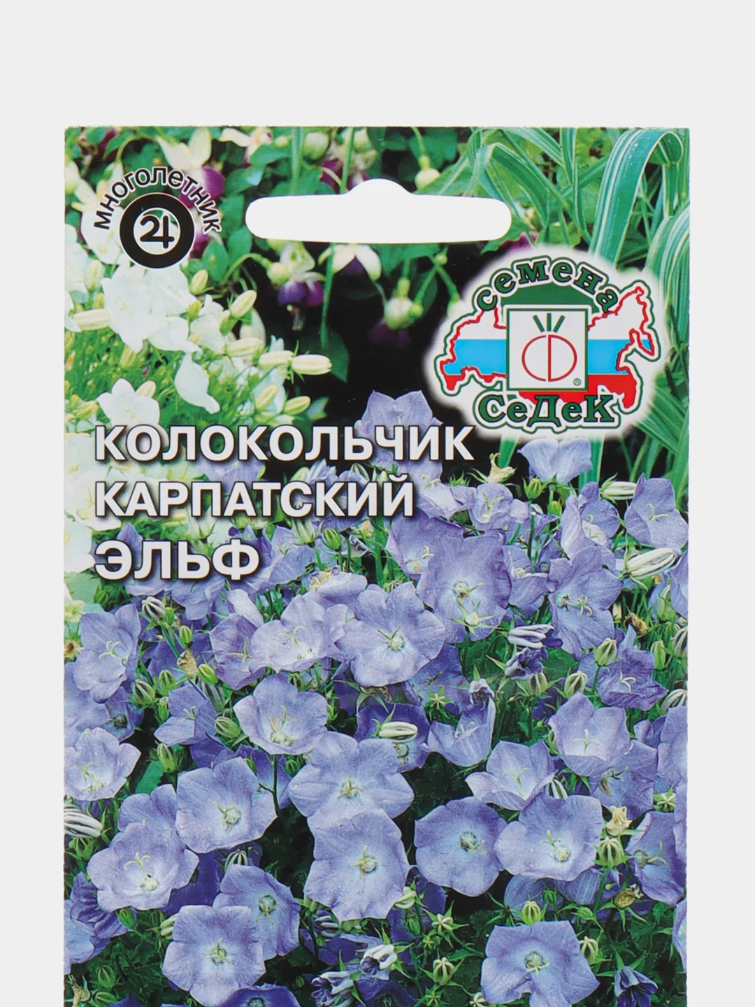 Семена Колокольчик карпатский  Эльф  набор 1, 3, 5 уп