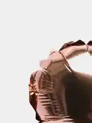 Карамельный фольгированные шары, 10 дюймов