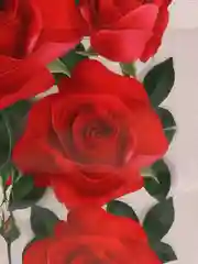 Алый пакет подарочный с пластиковой ручкой/Прочный пакет на каждый день