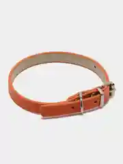 Рыжий ошейник для домашних животных, кожаный