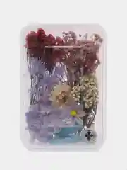 Сиреневый сухоцветы в контейнере