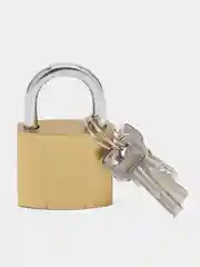 Золотой замок навесной 6*3.5 см