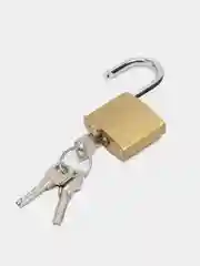 Золотой замок навесной 6*3.5 см