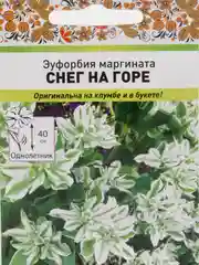 Семена цветов Эуфорбия "Снег на горе"