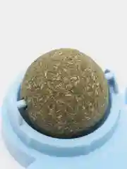 Голубой кошачья мята, в виде шарика