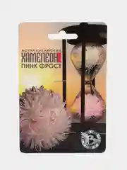 Семена Астра китайская "Хамелеон Пинк фрост" набор 1, 2, 3, 5 уп