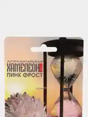 Семена Астра китайская "Хамелеон Пинк фрост" набор 1, 2, 3, 5 уп