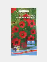 Адонис "Летний Красный", семена, цветы