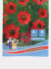 Адонис "Летний Красный", семена, цветы