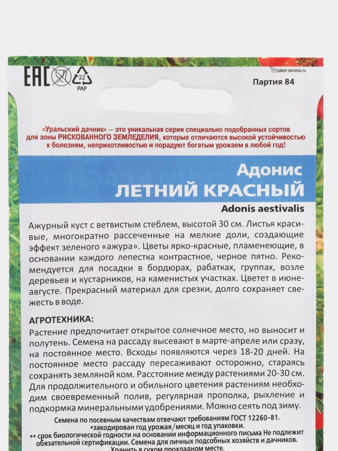 Адонис "Летний Красный", семена, цветы