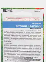Адонис "Летний Красный", семена, цветы