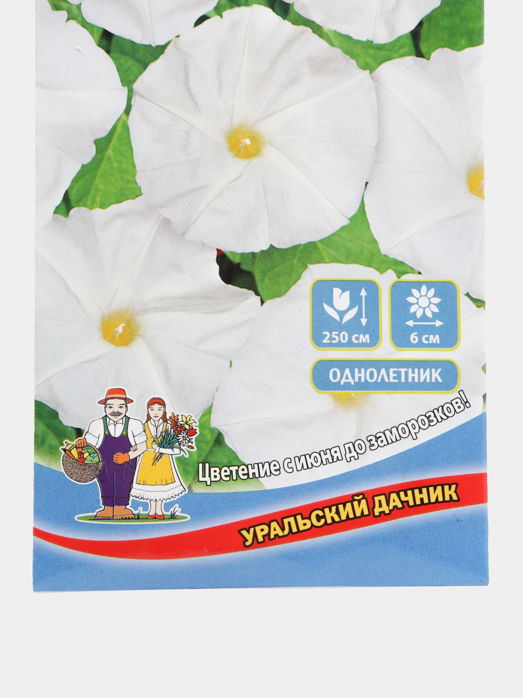Ипомея Снежный Колоко, семена, цветы