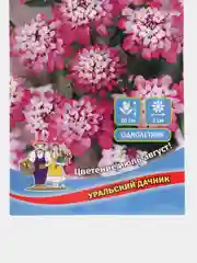 Иберис зонтичный Розовый, семена, цветы