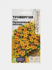 Тунбергия Сюзи Оранжевый каскад, семена, цветы
