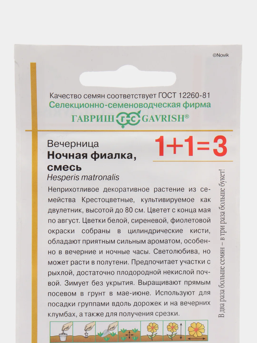 Вечерница Ночная фиалка (семена, цветы, хесперис)