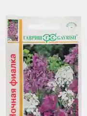 Вечерница Ночная фиалка (семена, цветы, хесперис)