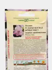 Семена цветов Петуния "Даубл Каскад Орхид Мист"