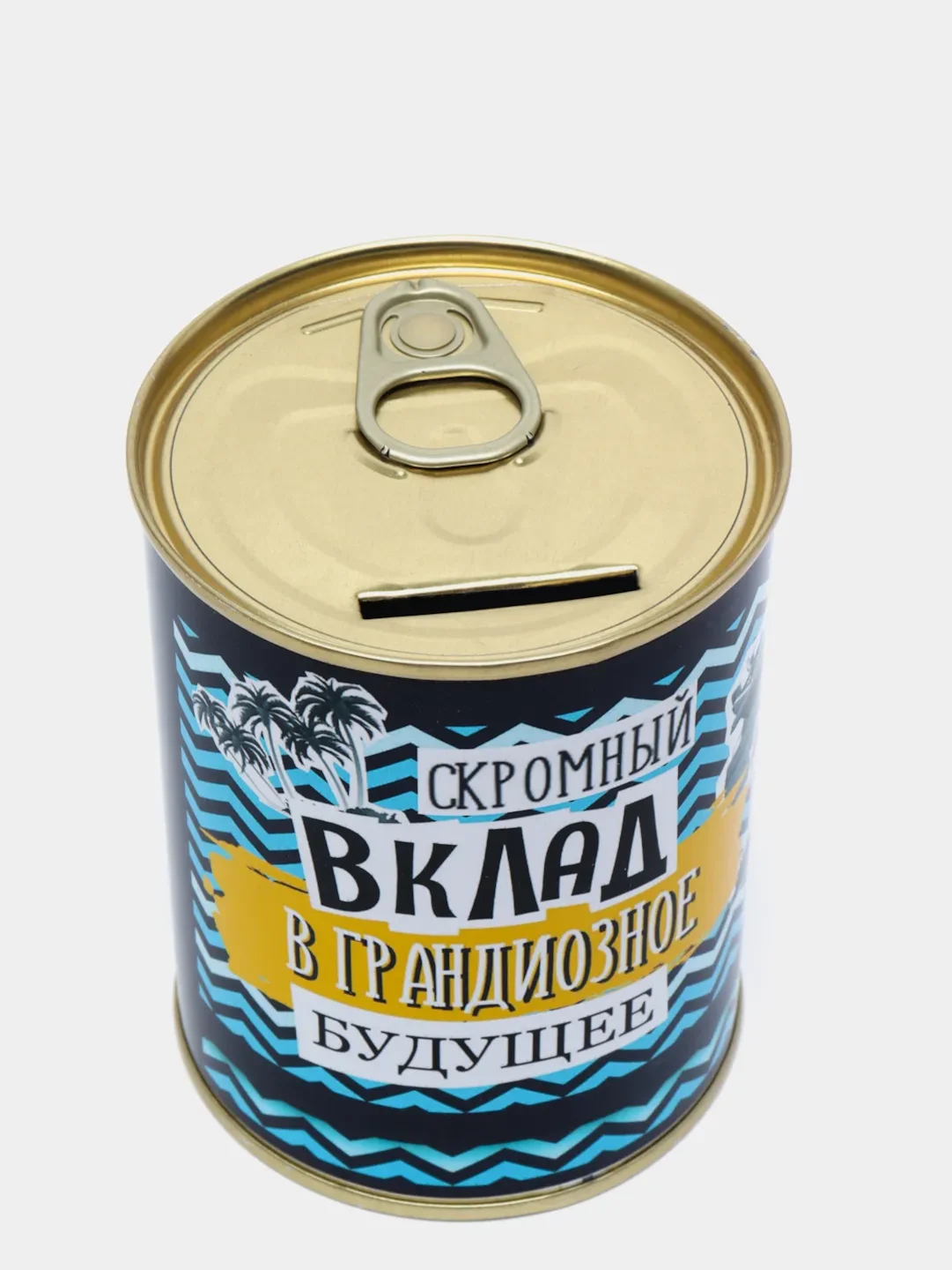 Копилка для денег, монет и купюр "Скромный вклад в грандиозное будущее"