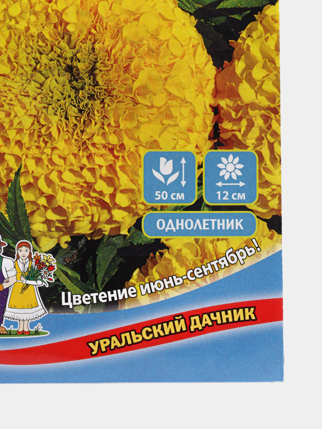 Бархатцы "Мери Хелен", семена цветов