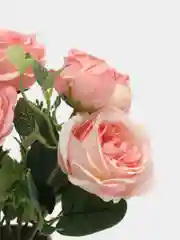 Розовый искусственные цветы "Пионовидные розы"