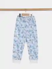 Лазурный ползунки, Утенок