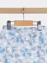 Лазурный ползунки, Утенок
