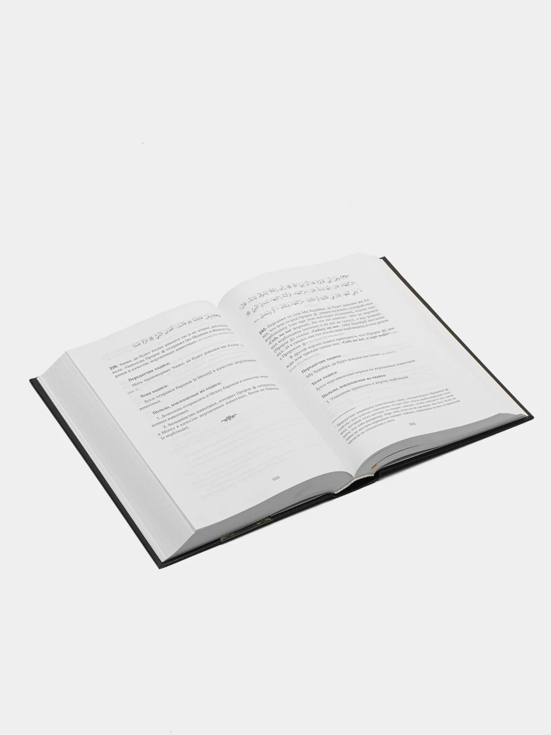 Читай-Умма, книга "Танбих аль-Афхам шарх Умдат аль-Ахкам"