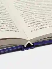 Читай-Умма, книга "Душа (Нафс)", "Китаб ар-рух"