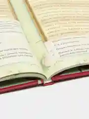 Читай-умма, книга "Лэйла жалуется Аише"