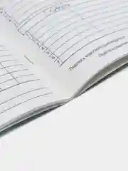 Салатовый дневник школьный