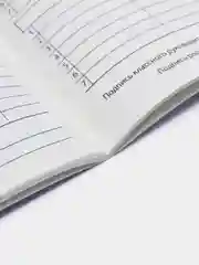 Фиолетовый дневник школьный